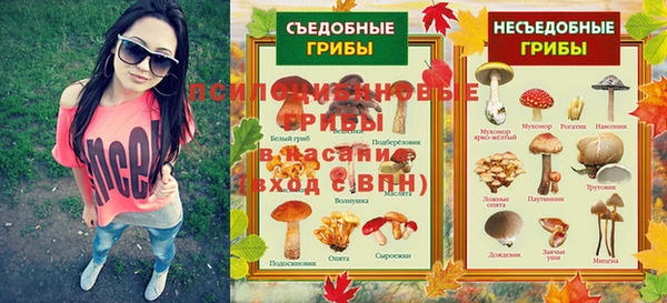 прущая мука Арсеньев
