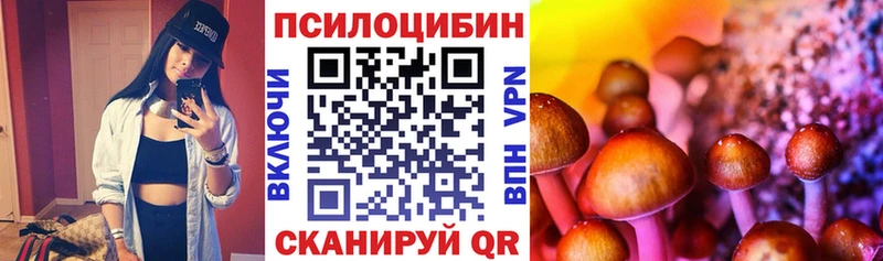 ОМГ ОМГ ТОР  Баймак  Псилоцибиновые грибы ЛСД  купить  цена 